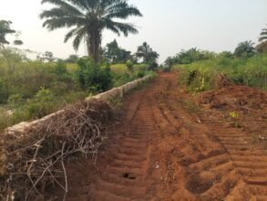 Land for sale at Benin