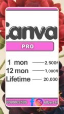 Canva pro app/lifetime access