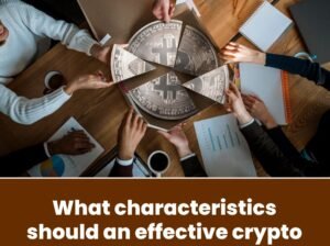 Digital Marketing and Crypto Marketing Agency | Whiz Marketers