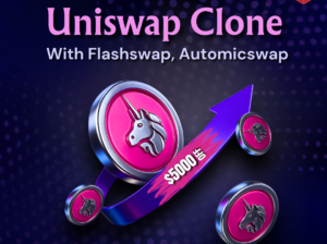 Best Uniswap Clone Script Services Provider in USA