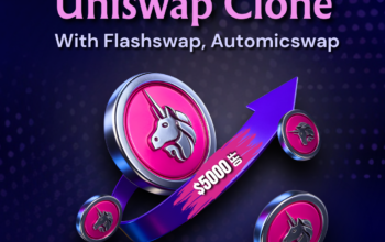Best Uniswap Clone Script Services Provider in USA